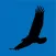 West River Eagle
